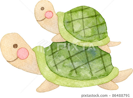 Illustration of a turtle parent and child 86488791