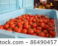  Mini Tomato 86490457