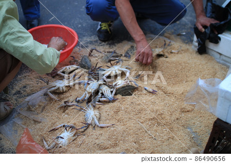 traditional market traditional market 86490656