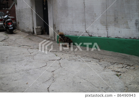 Neighborhood scenery Neighborhood scenery 86490943