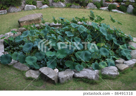 Gilsangsa Temple 86491318