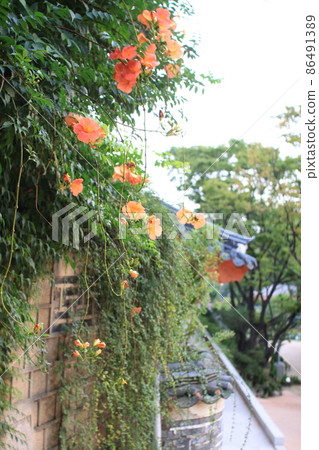 Gilsangsa Temple 86491389