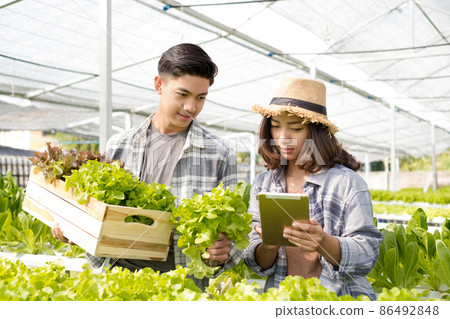 Hydroponics, two Asian farmers own a vegetable farm, use a tablet to monitor temperature control, and record leaf growth quality on the farm. Small business entrepreneurial concept 86492848