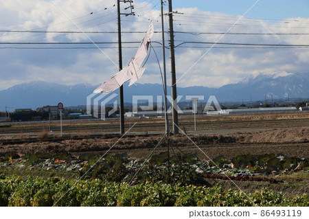 鳥追風箏鷹 86493119