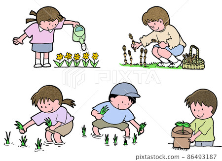 孩子們的學校生活 Saijiki 園藝 水稻種植 孩子們的學校生活 Saijiki 園藝 水稻種植 86493187