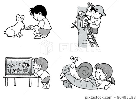 Children's school life Saijiki breeding observation Children's school life Saijiki breeding observation 86493188