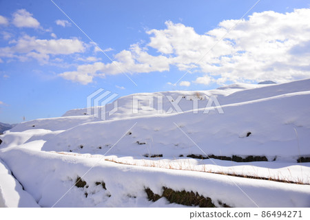 仰望白雪覆蓋的稻田 仰望白雪覆蓋的稻田 86494271