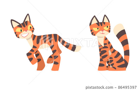 Tiger Character with Orange Fur and Black Stripes Walking and Sitting Vector Illustration Set Tiger Character with Orange Fur and Black Stripes Walking and Sitting Vector Illustration Set 86495397