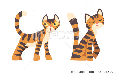 Tiger Character with Orange Fur and Black Stripes Standing and Sitting Vector Illustration Set Tiger Character with Orange Fur and Black Stripes Standing and Sitting Vector Illustration Set 86495399