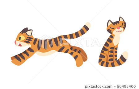 Tiger Character with Orange Fur and Black Stripes Sitting and Running Vector Illustration Set 86495400