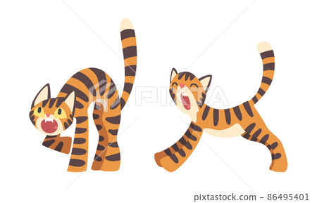 Tiger Character with Orange Fur and Black Stripes Yawning and Roaring Vector Illustration Set Tiger Character with Orange Fur and Black Stripes Yawning and Roaring Vector Illustration Set 86495401