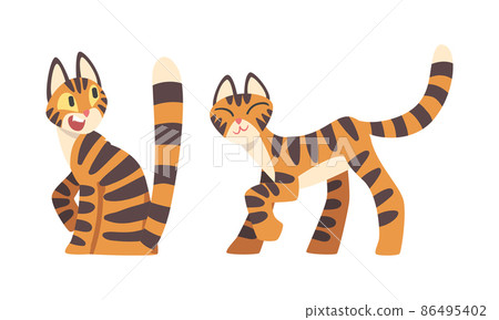 Tiger Character with Orange Fur and Black Stripes Walking and Sitting Vector Illustration Set Tiger Character with Orange Fur and Black Stripes Walking and Sitting Vector Illustration Set 86495402