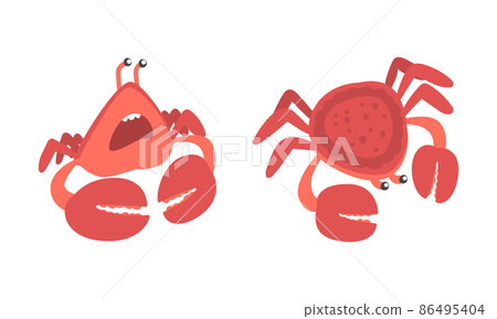 Red Crab Character as Aquatic Mammal with Pair of Pincers Vector Illustration Set Red Crab Character as Aquatic Mammal with Pair of Pincers Vector Illustration Set 86495404