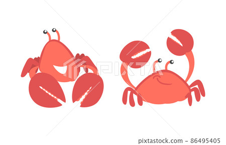 Red Crab Character as Aquatic Mammal with Pair of Pincers Smiling Vector Illustration Set Red Crab Character as Aquatic Mammal with Pair of Pincers Smiling Vector Illustration Set 86495405