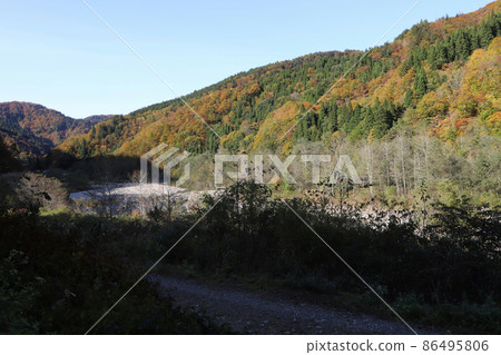 石川縣道33號白山公園線(石川縣白山市)的紅葉 石川縣道33號白山公園線(石川縣白山市)的紅葉 86495806
