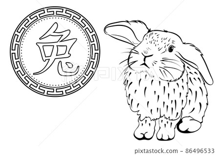 Chinese symbol and rabbit card Chinese symbol and rabbit card 86496533