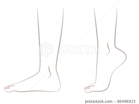 Standing on tiptoe, raising heels - Stock Illustration [86496915] - PIXTA