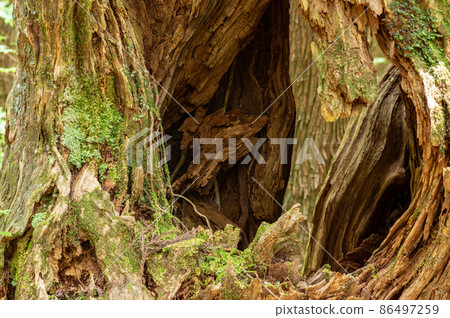 Seki City, Gifu Prefecture 86497259