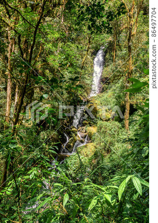 Waterfall on wild mountain river. San Gerardo de Dota, Costa Rica. Waterfall on wild mountain river. San Gerardo de Dota, Costa Rica. 86497704