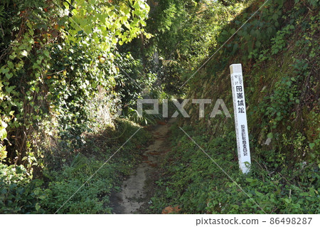 Damine Castle (Shitara Town, Aichi Prefecture) 86498287