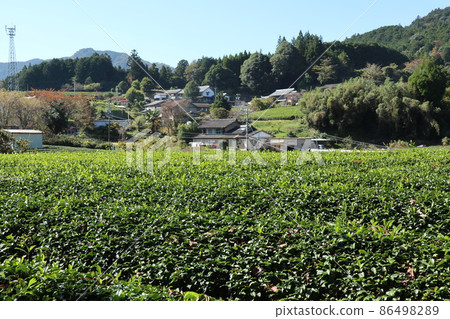 Damine Castle (Shitara Town, Aichi Prefecture) 86498289