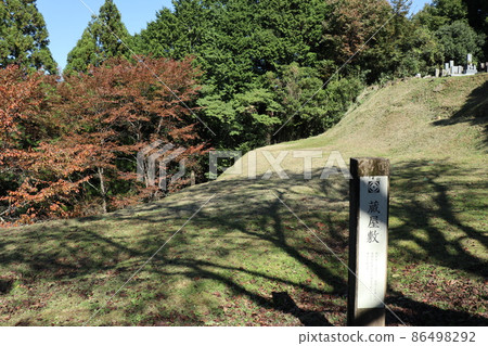 Damine Castle (Shitara Town, Aichi Prefecture) 86498292