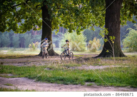 Two little kid boys in colorful casual clothes in summer forest park driving bicycle. Active children cycling on sunny fall day in nature. Safety, sports, leisure with kids concept 86498671