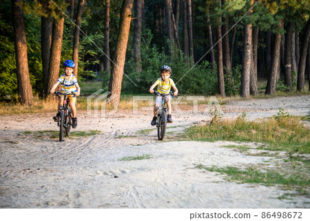 Two active little sibling boys having fun on bikes in forest on warm day. 86498672