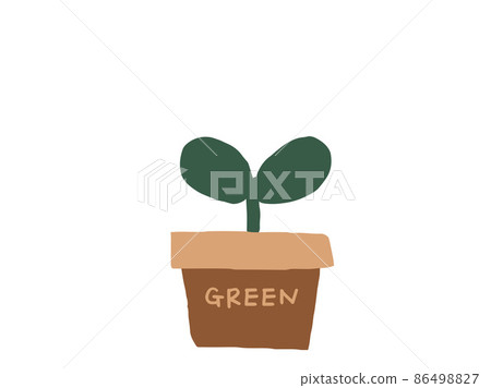 Cute botanical foliage plants / hand-drawn illustrations 86498827