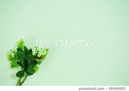 Healing fake green with copy space on white background Healing fake green with copy space on white background 86498983