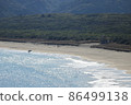 Surfers walking along the beach 86499138