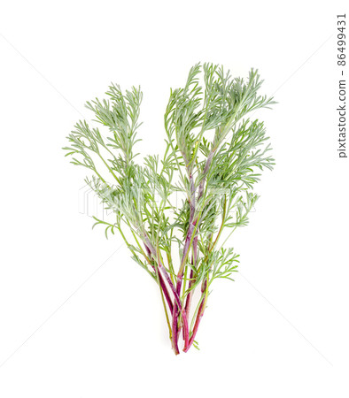 Medicinal plants, herbs isolated on white background. 86499431