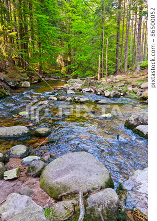 Picturesque forest landscape. A small river flows through the rocks in the forest. Mountainous terrain. Picturesque forest landscape. A small river flows through the rocks in the forest. Mountainous terrain. 86500052