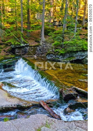 Picturesque forest landscape. A small mountain river flows over the stones. 86500070