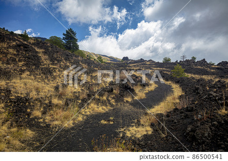 nature trail on Mount Etna. nature trail on Mount Etna. 86500541