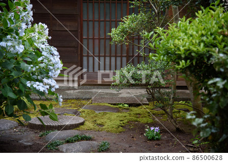 日本房子門口的繡球花 日本房子門口的繡球花 86500628