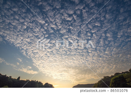 Paddy field evening scene Paddy field evening scene 86501076