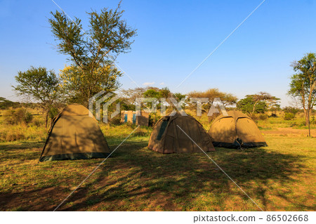 Safari campsite in Serengeti National Park, Tanzania Safari campsite in Serengeti National Park, Tanzania 86502668