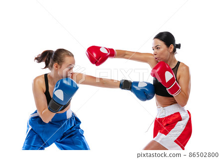 Dynamic portrait of two female professional boxers boxing isolated on white studio background. Couple of fit muscular caucasian athletes fighting. Sport, competition Dynamic portrait of two female professional boxers boxing isolated on white studio background. Couple of fit muscular caucasian athletes fighting. Sport, competition 86502800