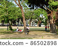 Mother sits on the grass with baby carriage peacefully in a city park. Kaohsiung Taiwan 86502898