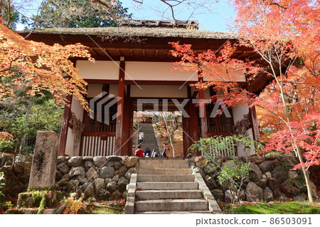 Scenery of the main gate and autumn leaves in the precincts of Jojakkoji Temple in Saga, Kyoto City Scenery of the main gate and autumn leaves in the precincts of Jojakkoji Temple in Saga, Kyoto City 86503091