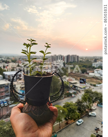 I love plants. I love plants. 86503831