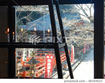 At the main hall of Kimiidera Temple At the main hall of Kimiidera Temple 86504025