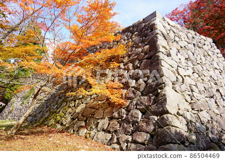 秋 / 高取城蹟的秋葉(奈良縣高市區高取町) 秋 / 高取城蹟的秋葉(奈良縣高市區高取町) 86504469