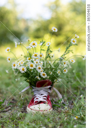 red sneakers with a bouquet of daisies in summer field. 86504638