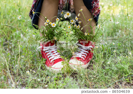 upturned skirt and naked legs in red sneakers with a bouquet of white camomiles in green grass 86504639
