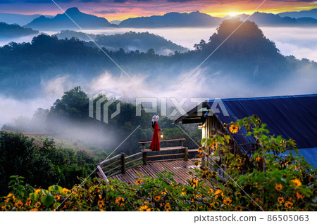 Beautiful girl holding storm lantern enjoying morning mist at Jabo village, Mae hong son province, Thailand. 86505063