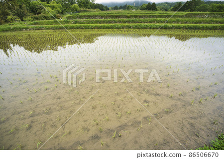 Photographing rice terraces in Kurihara, Otsu City, Shiga Prefecture 86506670
