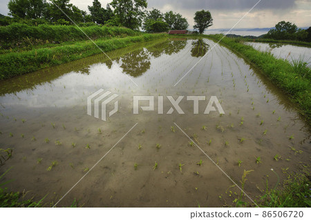 Photographing rice terraces in Kurihara, Otsu City, Shiga Prefecture 86506720