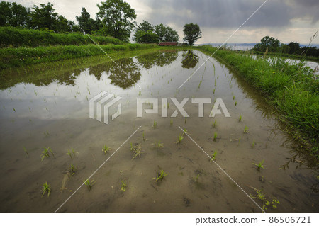 Photographing rice terraces in Kurihara, Otsu City, Shiga Prefecture 86506721